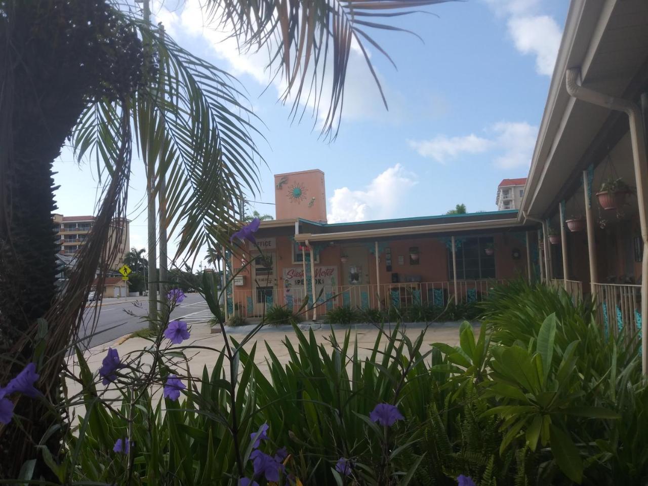 Michaels Siesta Motel St. Petersburg Luaran gambar